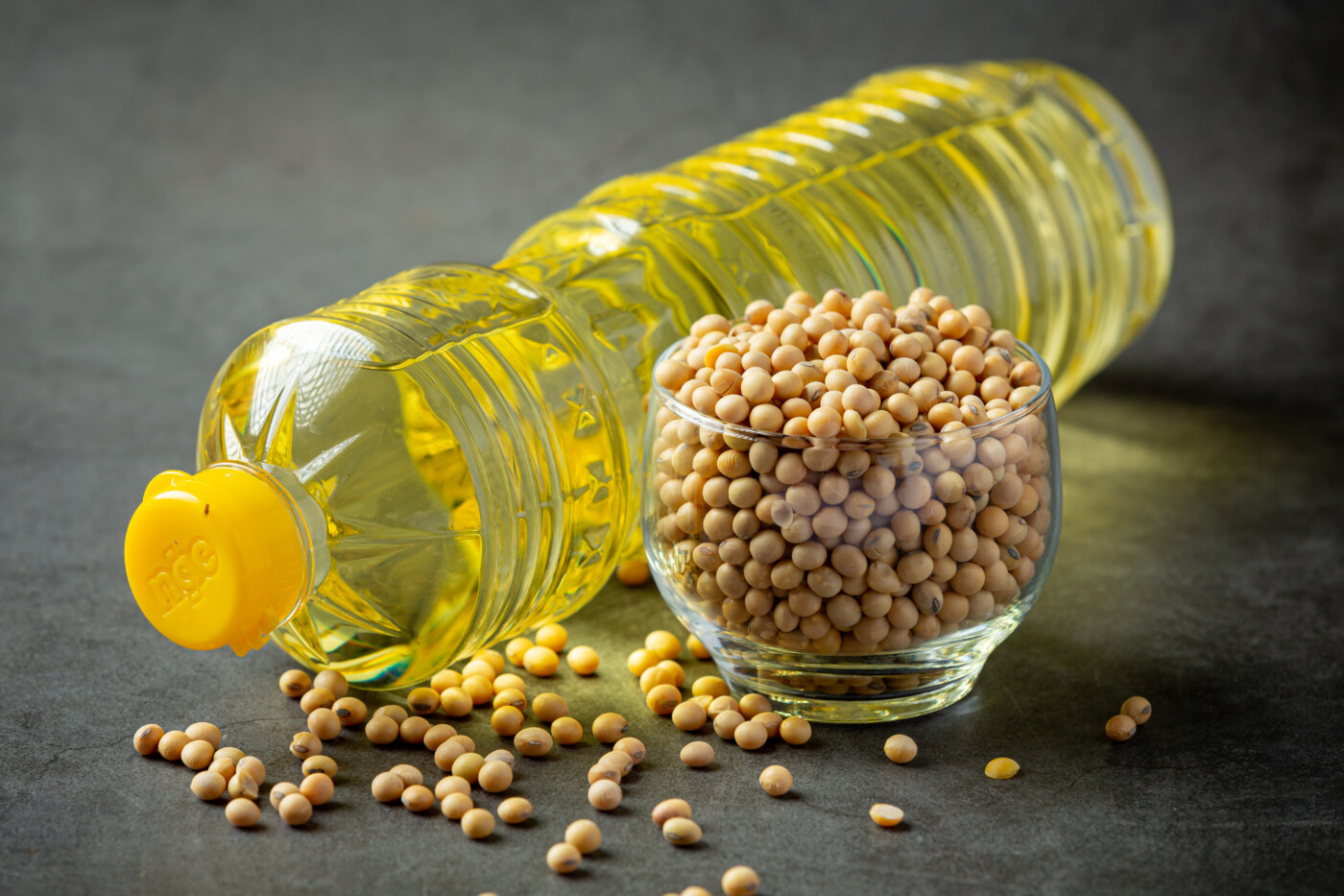 Soybean oil Soybean food and beverage products Food nutrition co Soybean oil Soybean food and beverage products Food nutrition concept.